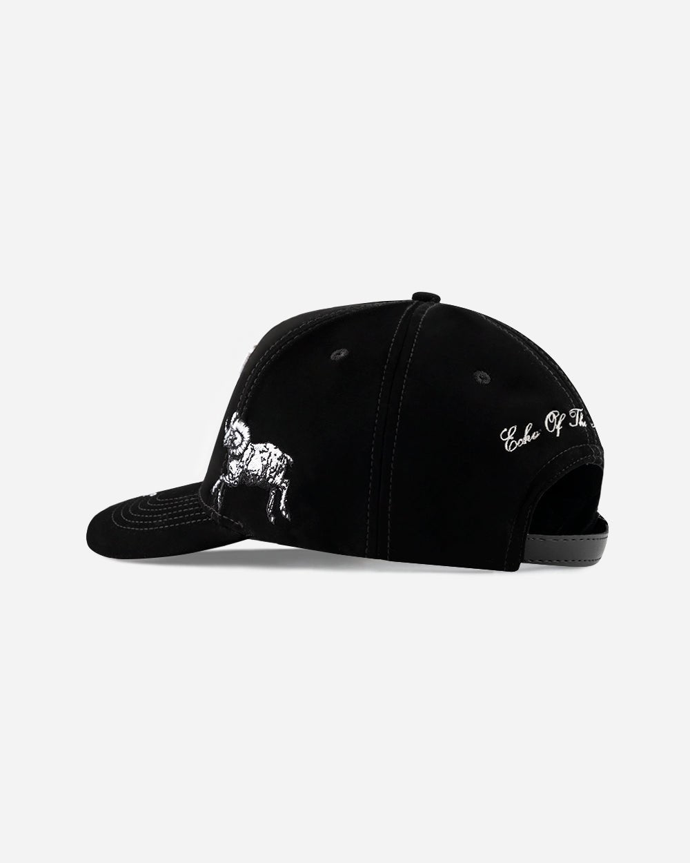 YOSEMITI BLACK CAP
