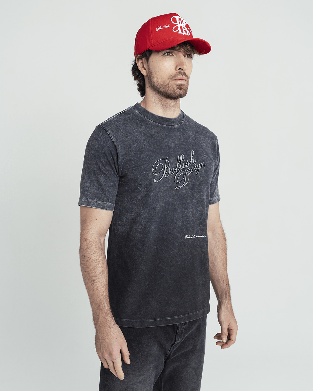 SEQUOIA ACID WASH T SHIRT